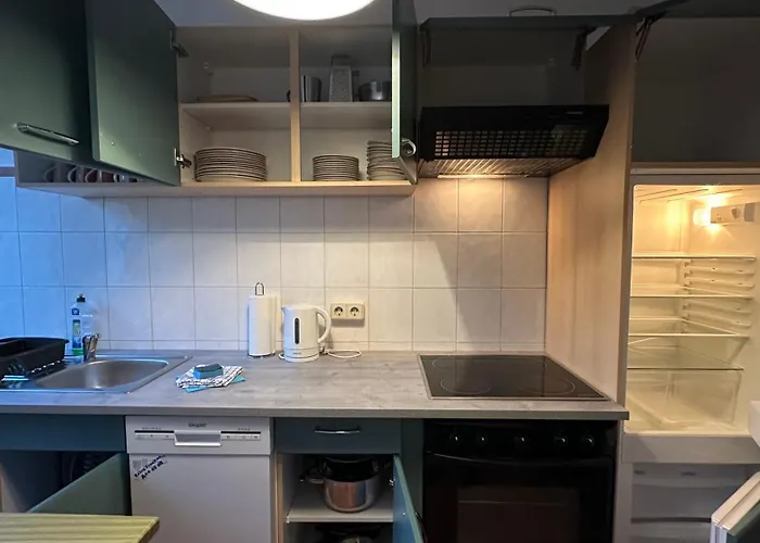 Micasa Tucasa - 4-r-apartment Leipziger Neuseenland Sirius Apartament